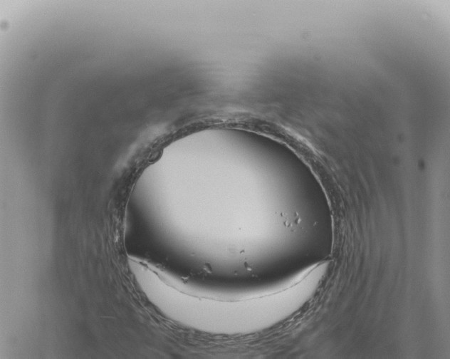 X0000061111447200512091805