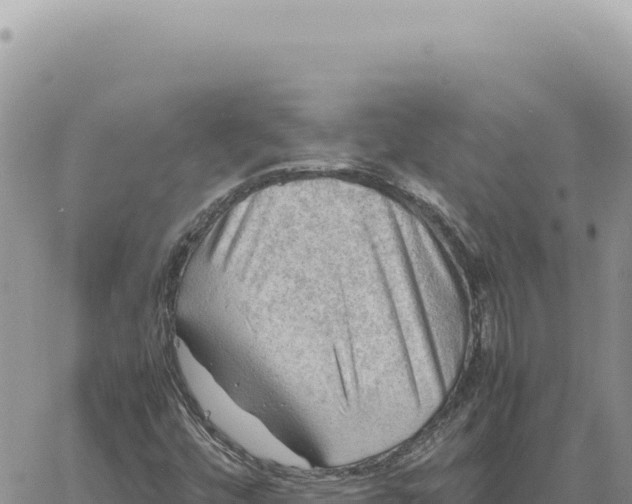 X0000061111448200512091805