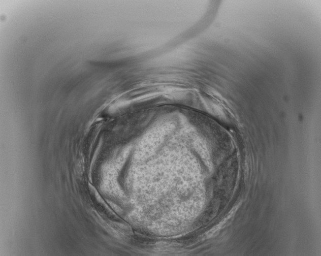 X0000061111449200512091805