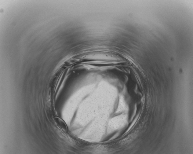 X0000061111450200512091805