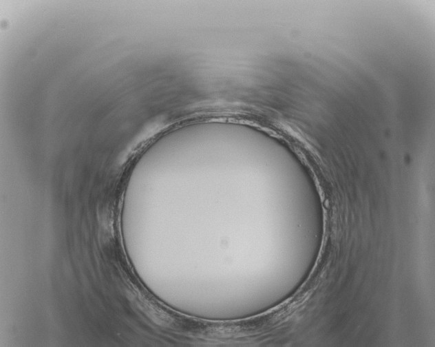 X0000061111451200512091805