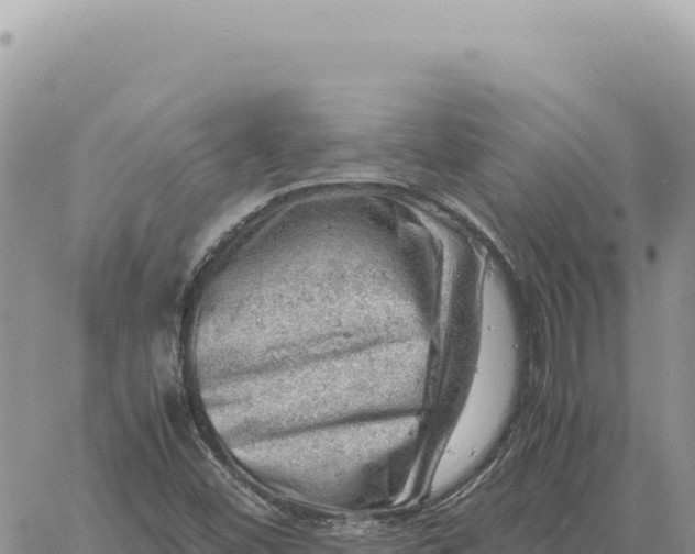 X0000061111452200512091805