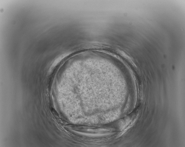 X0000061111453200512091805