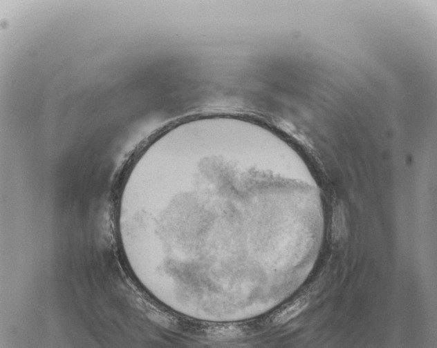 X0000061111454200512091805