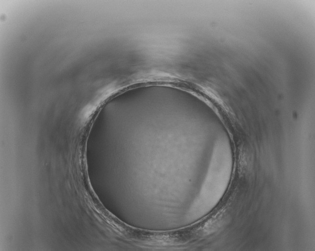 X0000061111455200512091805