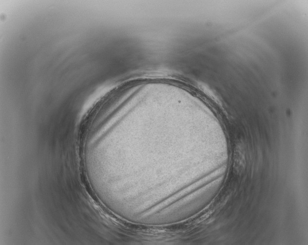 X0000061111456200512091805