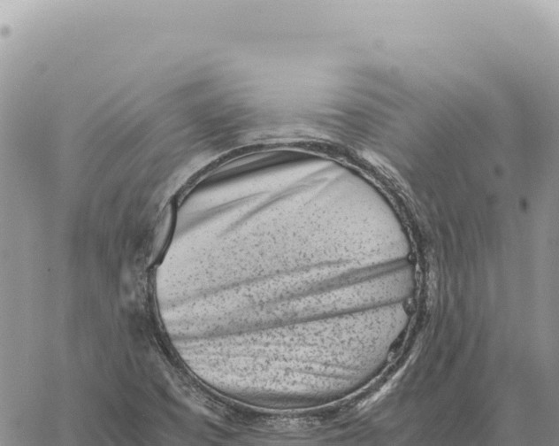 X0000061111457200512091805