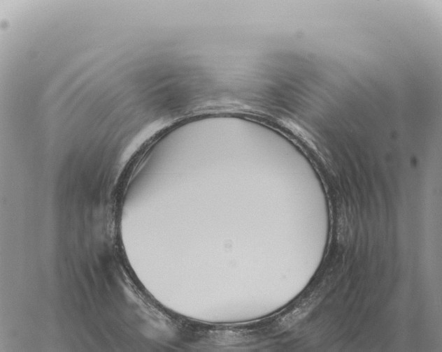 X0000061111458200512091805