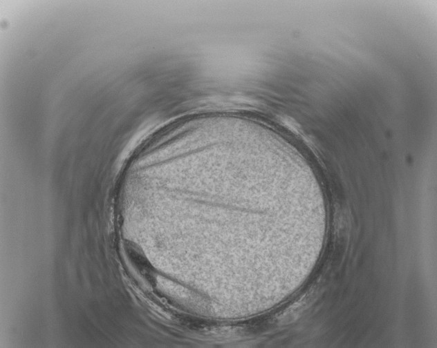 X0000061111459200512091805