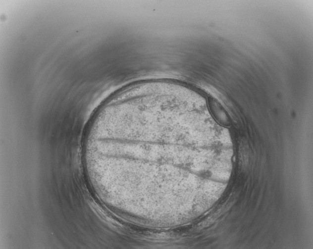 X0000061111460200512091805