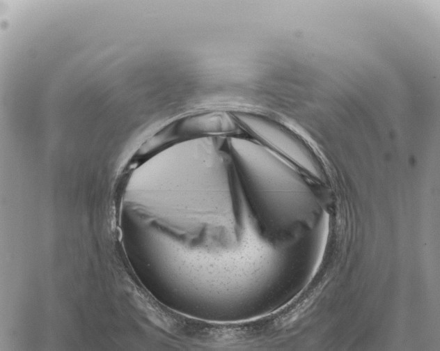 X0000061111461200512091805