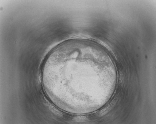 X0000061111462200512091805