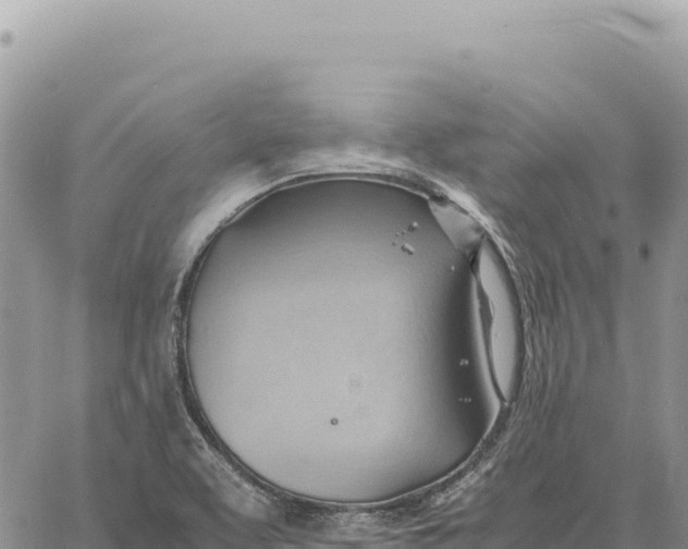 X0000061111463200512091805