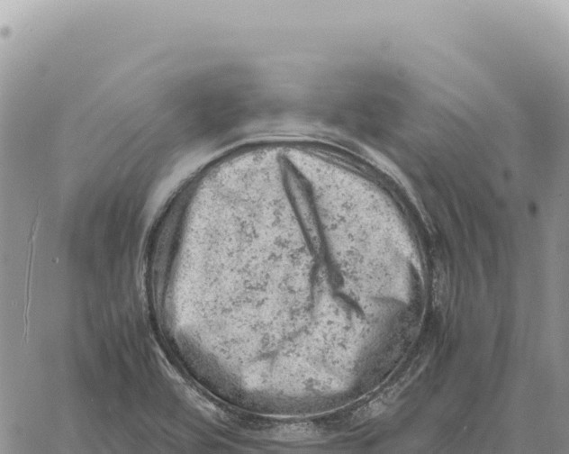 X0000061111464200512091805