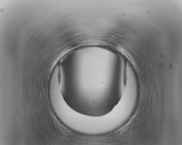 X0000061111465200512091805