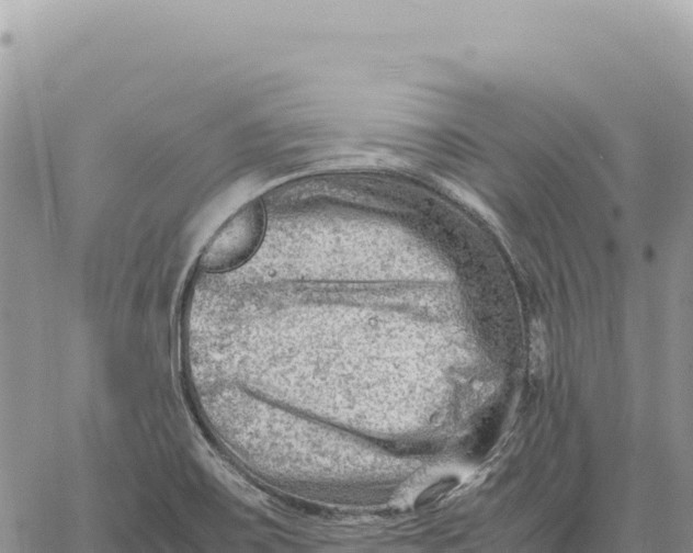 X0000061111467200512091805