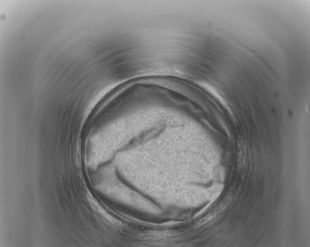 X0000061111468200512091805