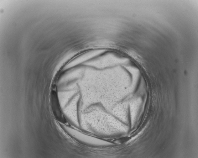 X0000061111469200512091805