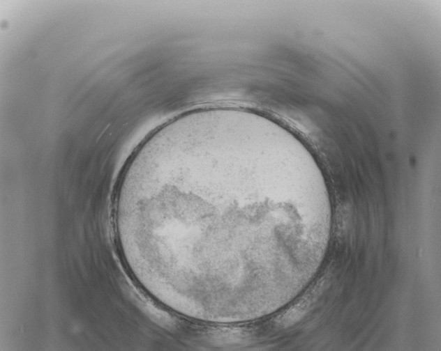 X0000061111470200512091804