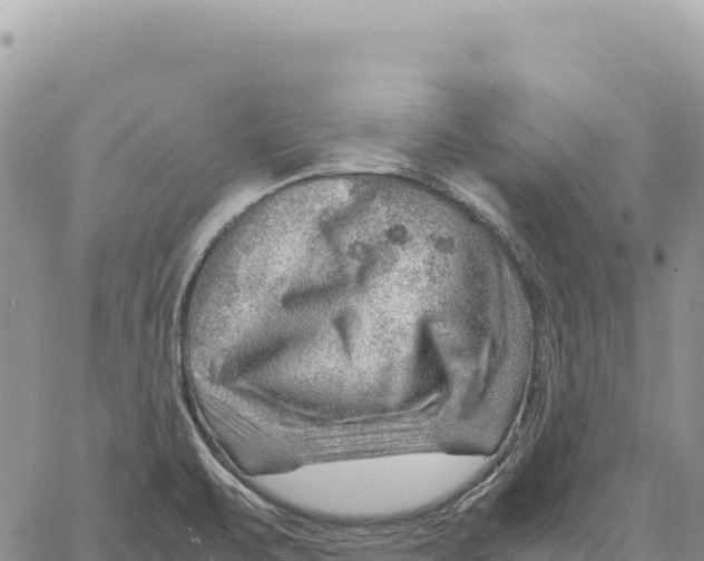 X0000061111471200512091804