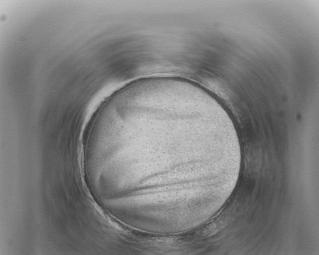 X0000061111472200512091804