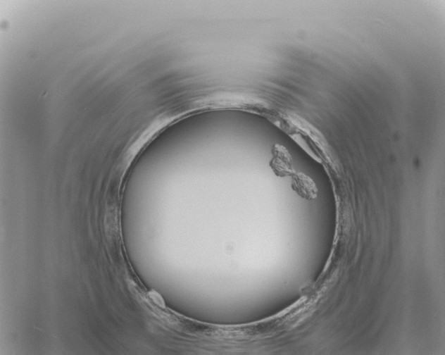 X0000061111473200512091804