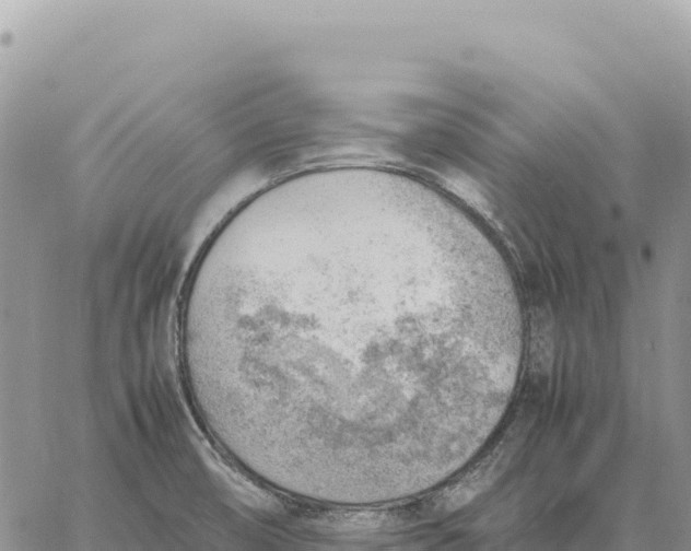 X0000061111474200512091804