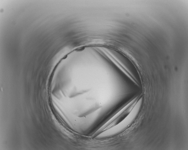 X0000061111475200512091804