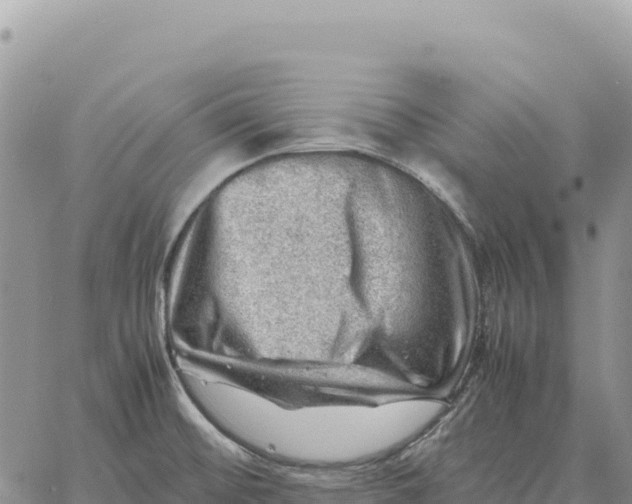 X0000061111476200512091804