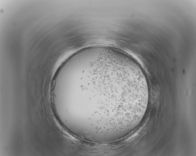 X0000061111477200512091804