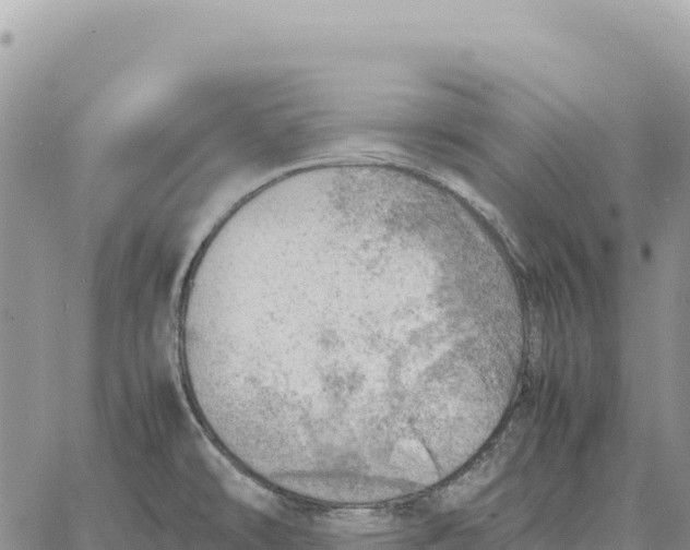 X0000061111478200512091804