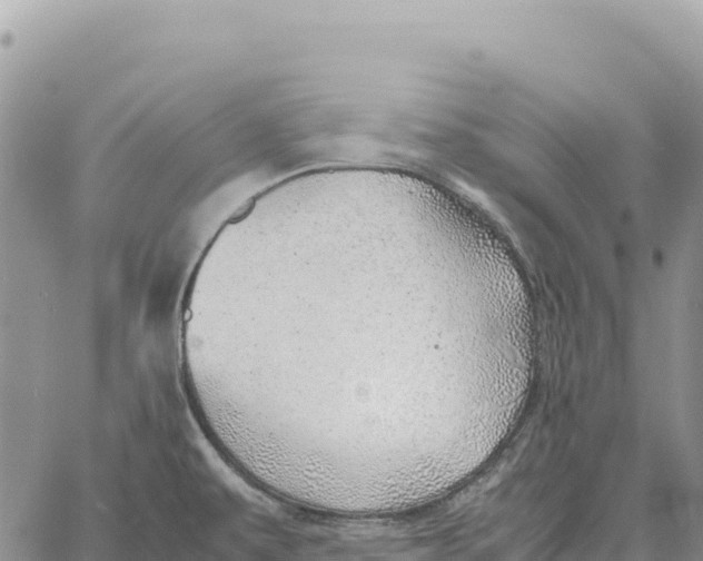 X0000061111479200512091804