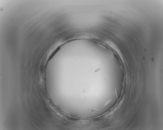 X0000061111481200512091804