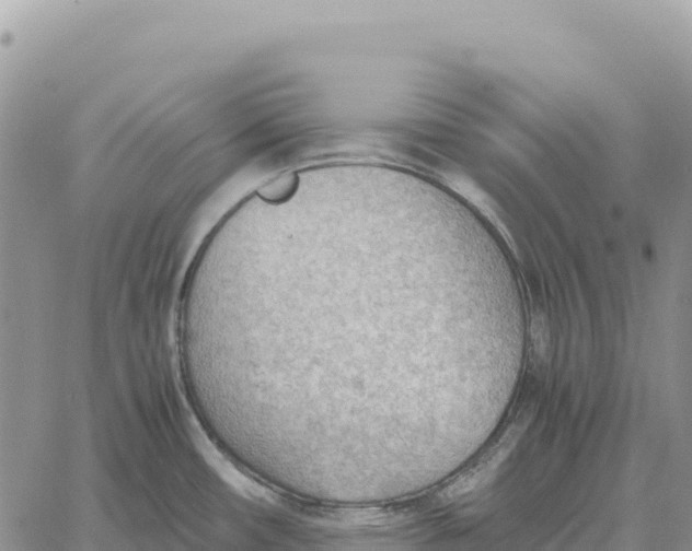 X0000061111482200512091804