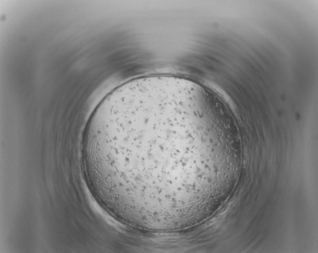 X0000061111483200512091804