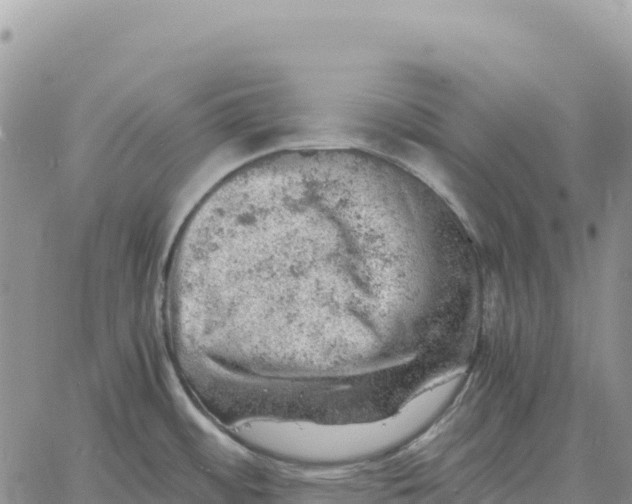 X0000061111484200512091804