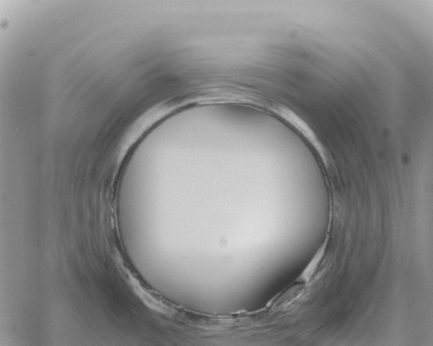 X0000061111485200512091804