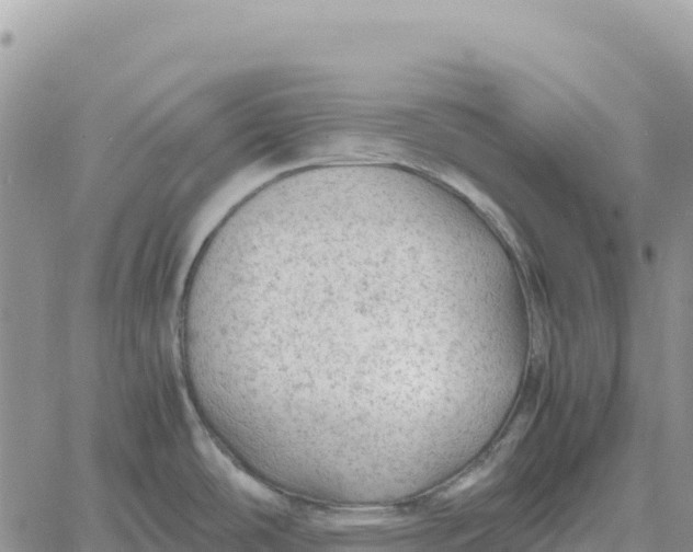 X0000061111486200512091804