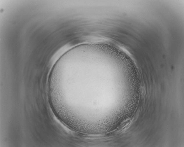 X0000061111487200512091804