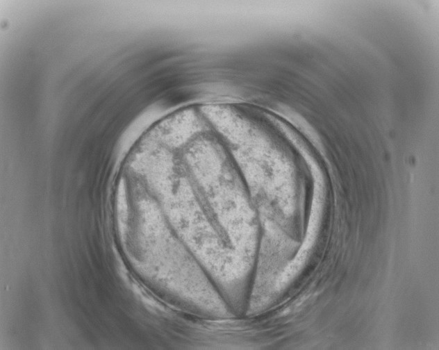 X0000061111488200512091804