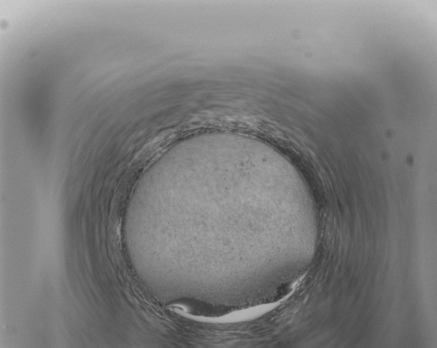 X0000061111489200512091803