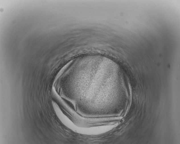 X0000061111490200512091803