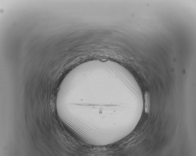 X0000061111491200512091803