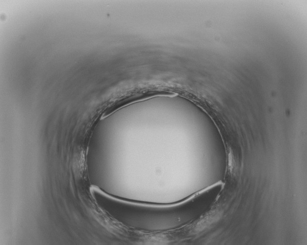 X0000061111492200512091803