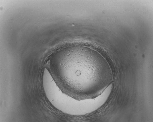 X0000061111493200512091803