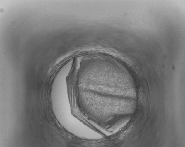 X0000061111494200512091804