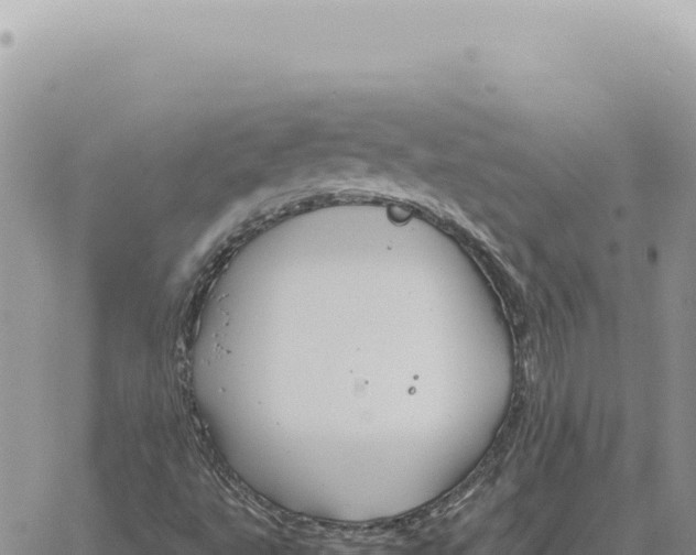 X0000061111495200512091804