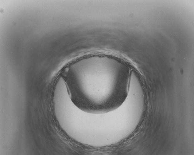 X0000061111496200512091804