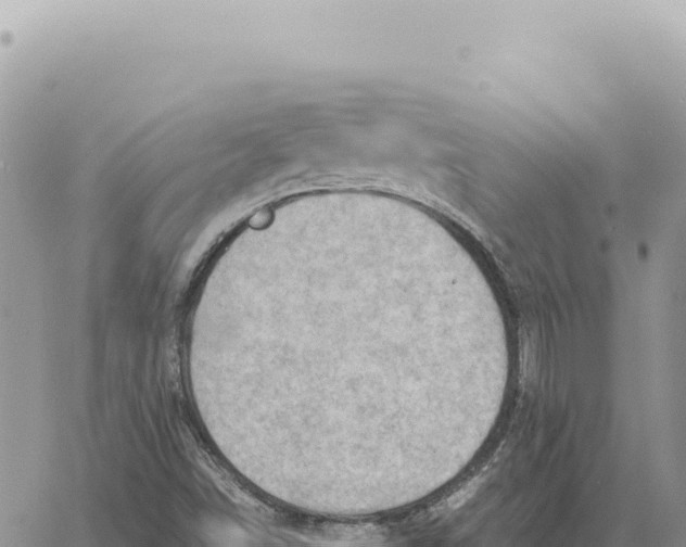 X0000061111498200512091804