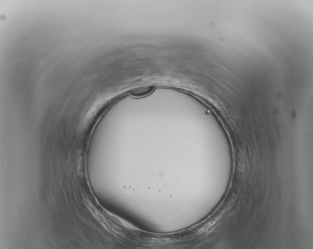 X0000061111499200512091804